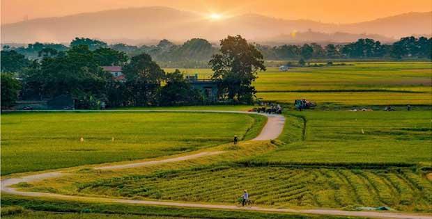 Top 10 Bài thơ cảm động nhất viết về ông bà