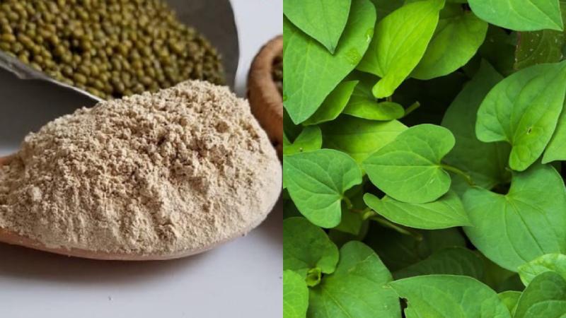 8 Phương pháp trị mụn hiệu quả từ rau diếp cá