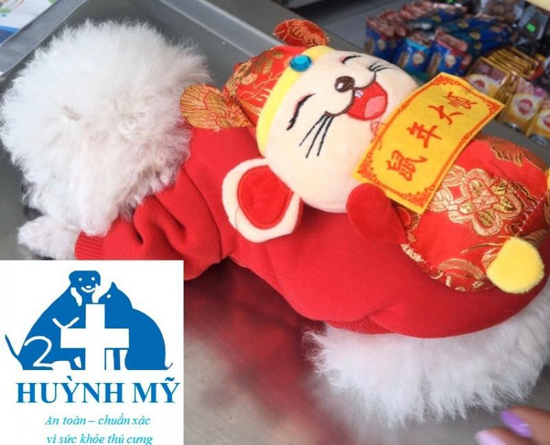 Top 8 Phòng Khám Thú Y Uy Tín Hàng Đầu Tỉnh An Giang