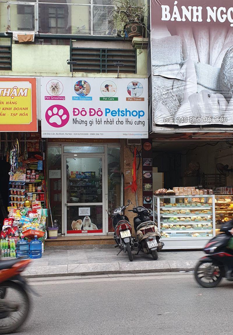 11 Địa điểm vàng mua mèo cảnh chất lượng cao với giá hợp lý tại thủ đô Hà Nội