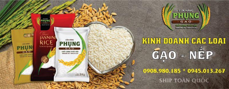 Top 4 đại lý phân phối gạo chuẩn chất lượng tại Quảng Trị - Bảo chứng hương vị gạo thơm ngon