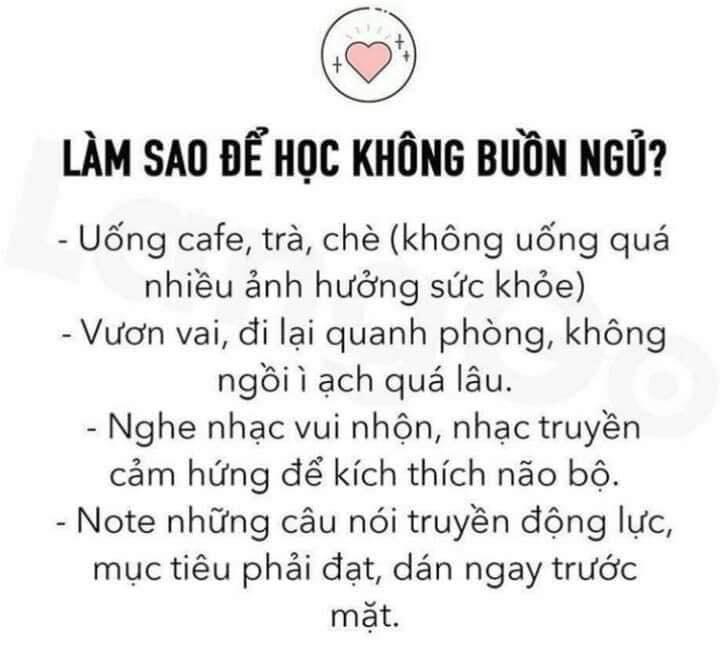 Top 4 khung giờ vàng giúp tối ưu hiệu quả học tập