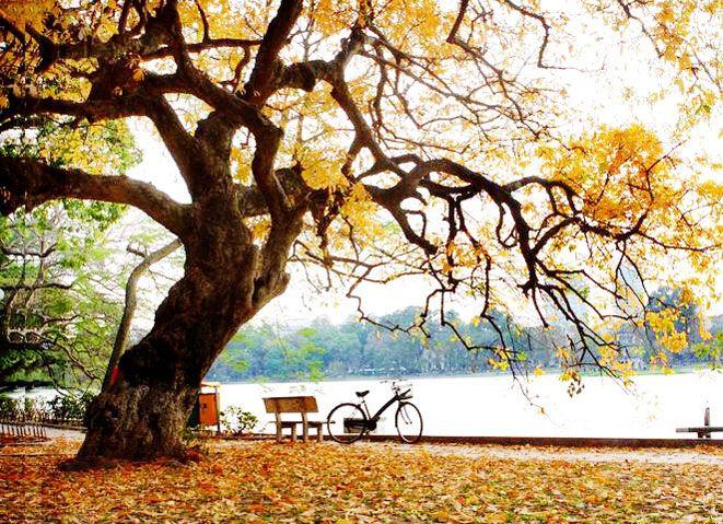 Top 10 bài thơ lục bát về quê hương tuyệt nhất