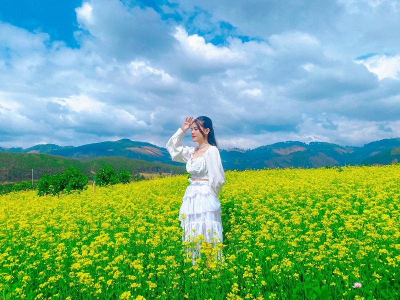 Tuyển tập 15 bài thơ đặc sắc nhất về hoa cải