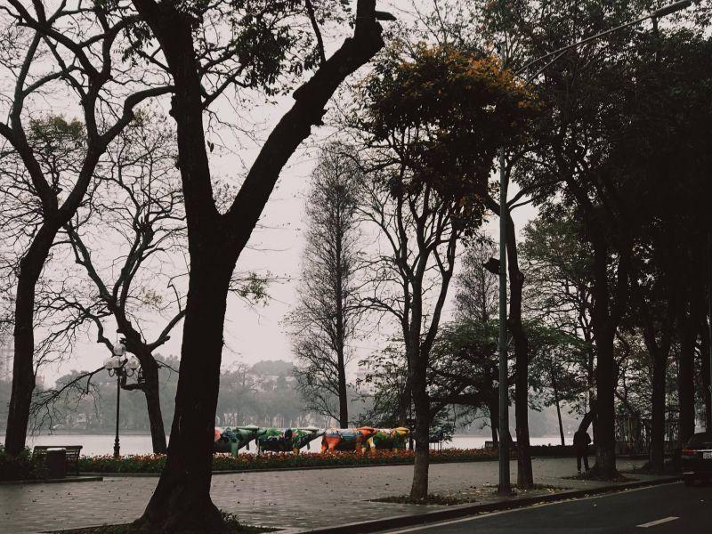 Top 10 tản văn về mùa đông Hà Nội sâu lắng và đáng nhớ nhất