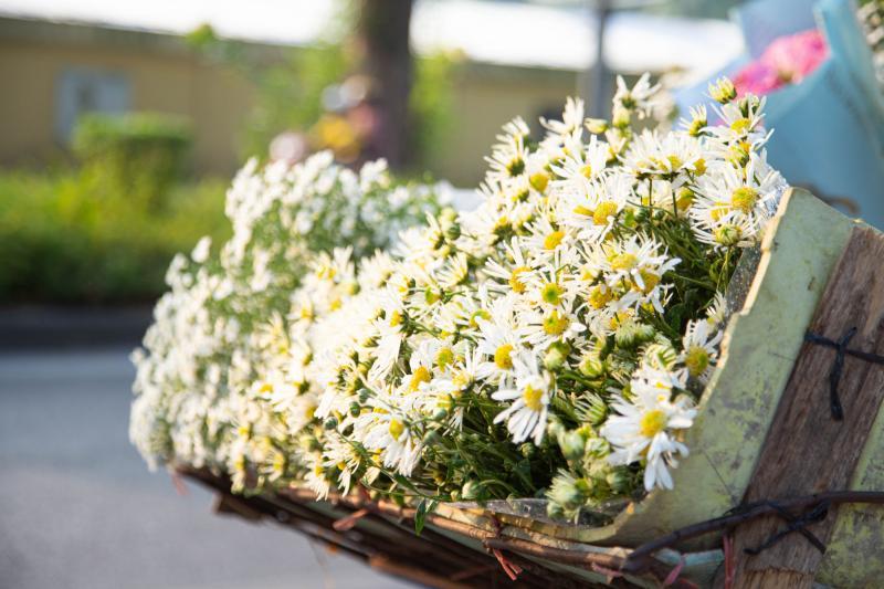 10 áng tản văn xuôi sắc nhất về tháng chạp
