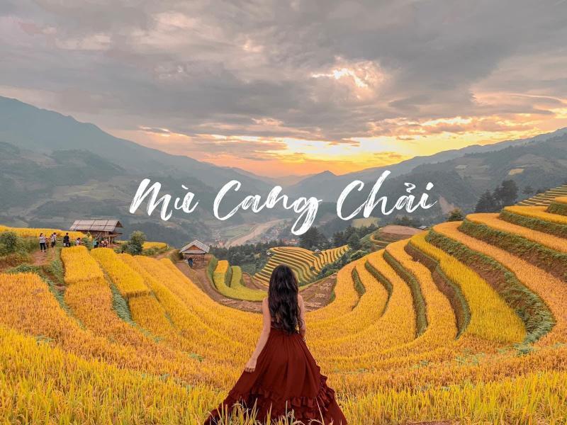Top 10 Tản văn hay nhất viết về bình minh