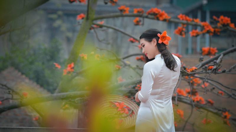 10 Áng tản văn đặc sắc nhất về tháng ba