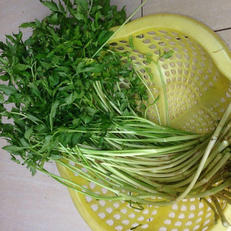 Top 10 mẹo tinh tế giúp nhận biết rau củ nhiễm hóa chất