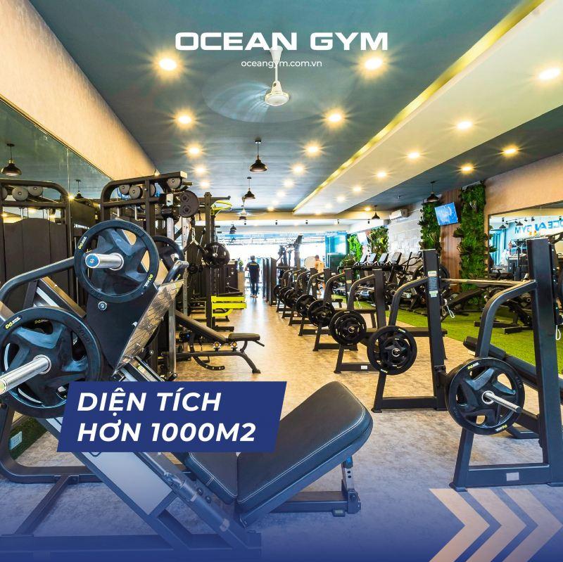12 Phòng Gym đáng trải nghiệm nhất tại Gò Vấp - Nâng tầm thể chất & phong cách sống
