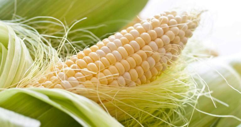 6 Cách Đánh Tan Sỏi Thận Tại Nhà Không Cần Dùng Thuốc
