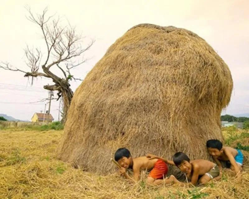 10 Bài văn thuyết minh xuất sắc nhất về trò chơi dân gian Việt Nam