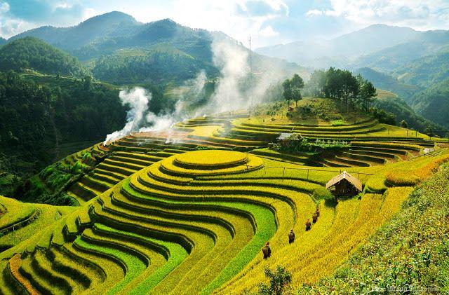 Top 7 phân tích xuất sắc bài thơ 'Ta đi tới' - Tố Hữu (Ngữ văn lớp 8)