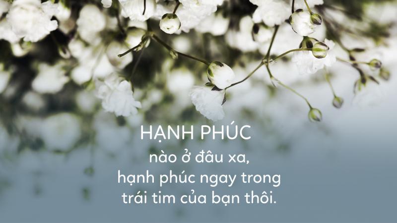 20 Áng thơ lắng đọng nhất về hạnh phúc đời người