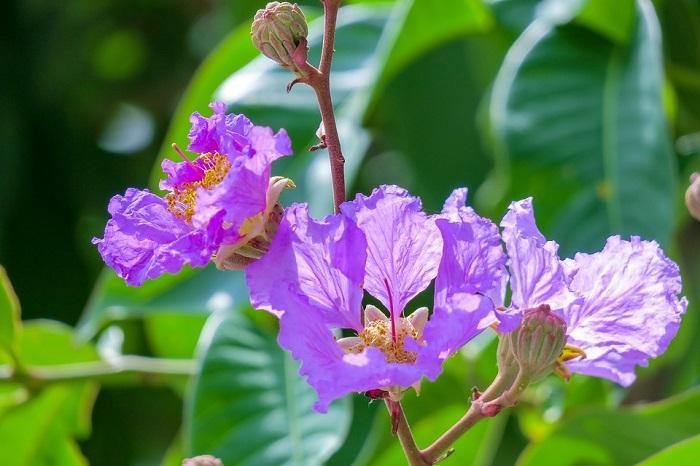 Top 10 Tản văn sâu sắc về thời gian khiến lòng người lặng lại