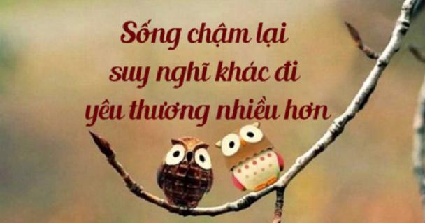 9 Bài văn nghị luận sâu sắc nhất về triết lý 'Sống chậm - Nghĩ khác - Yêu thương trọn vẹn' dành cho học sinh lớp 12