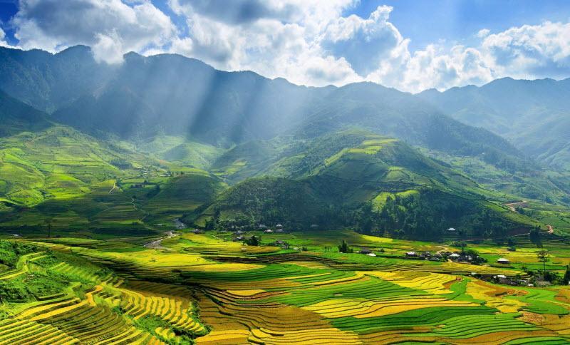 Top 6 bài phân tích sâu sắc nhất về thi phẩm 'Gò Me' dành cho học sinh lớp 7