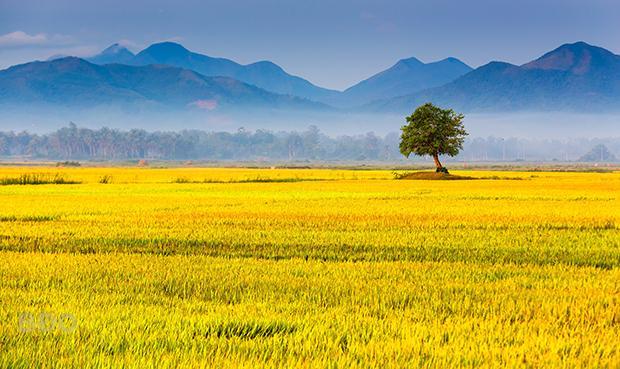 10 áng tản văn lắng đọng nhất về tháng Mười