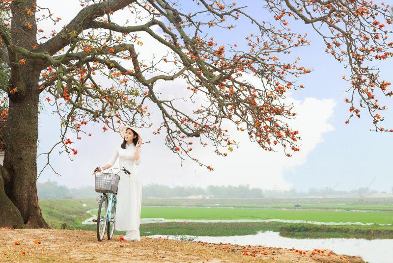 10 Áng tản văn xuất sắc nhất về hoa gạo