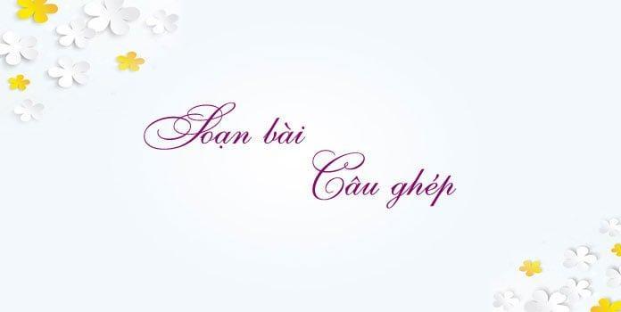 6 Bài soạn "Câu ghép" xuất sắc nhất