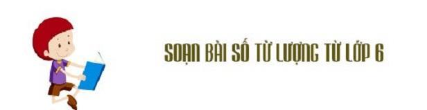 6 Bài soạn mẫu "Số từ và lượng từ" lớp 6 đặc sắc nhất