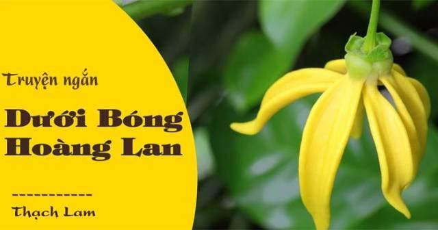 Top 8 Bài phân tích và bình luận truyện ngắn đặc sắc dành cho học sinh Ngữ văn 10