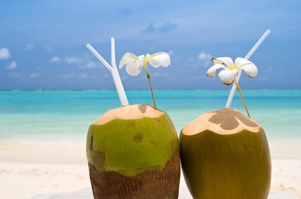 Top 10 Bài văn tả cây dừa xuất sắc nhất - Cảm nhận vẻ đẹp thiên nhiên qua từng trang viết