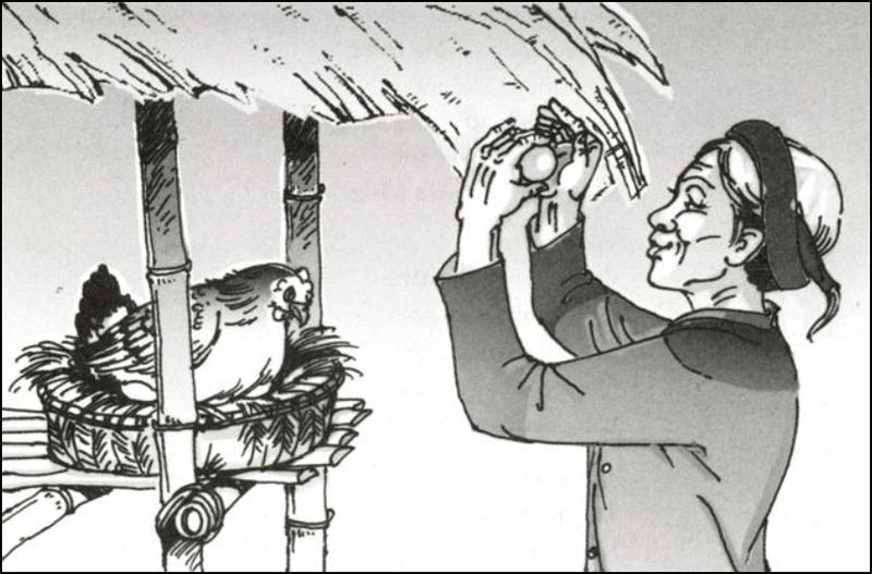11 bài phân tích xuất sắc nhất tác phẩm 'Gặp lá cơm nếp' (Ngữ văn 7)