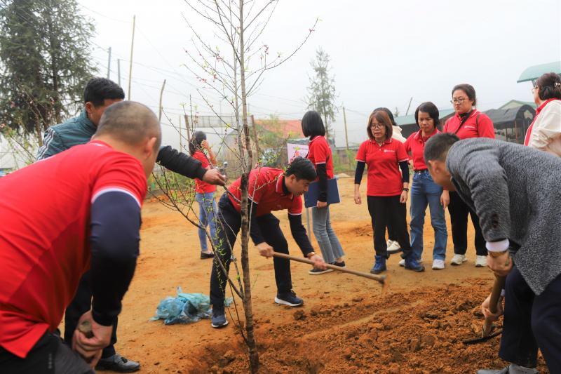 Top 10 Bài luận ý nghĩa về giá trị nhân văn của hoạt động thiện nguyện vì cộng đồng