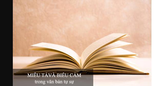 6 Bài phân tích chất lượng nhất về yếu tố miêu tả và biểu cảm trong văn tự sự
