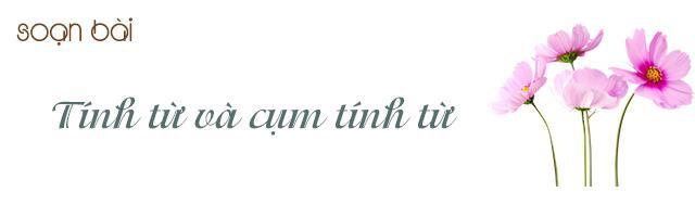 Tuyển chọn 6 bài soạn "Tính từ và cụm tính từ" lớp 6 chất lượng nhất