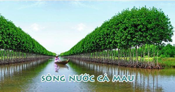 Top 10 Cảm nhận sâu sắc nhất về tác phẩm "Sông nước Cà Mau" của nhà văn Đoàn Giỏi