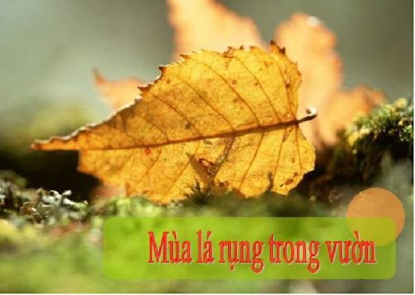 7 bản tóm tắt ấn tượng nhất về kiệt tác "Mùa lá rụng trong vườn" của Ma Văn Kháng