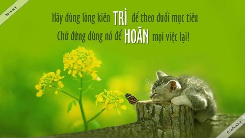 8 Bài Nghị Luận Xuất Sắc Nhất Về Tác Động Tiêu Cực Của Thói Quen Trì Hoãn Trong Đời Sống