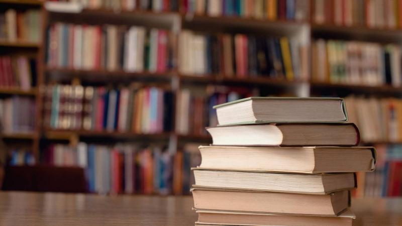 Top 5 phân tích xuất sắc nhất về hình tượng người lữ hành trên bãi cát trong 'Bài ca ngắn đi trên bãi cát' - Khám phá tâm trạng u uất của đại thi hào Cao Bá Quát