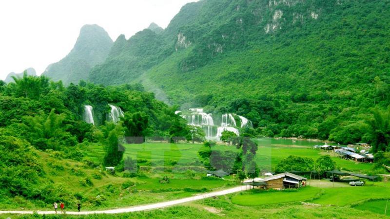 Top 6 bài phân tích xuất sắc 'Mùa xuân xanh' của Nguyễn Bính (Ngữ văn 11)