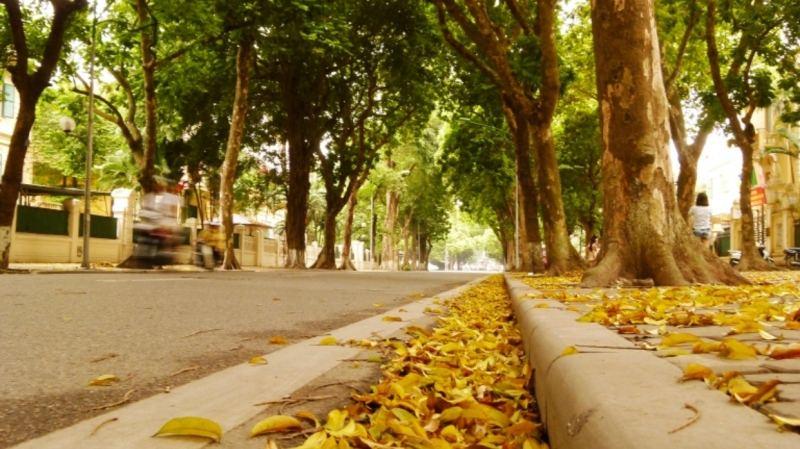 Top 16 bài thơ mùa thu tuyệt nhất