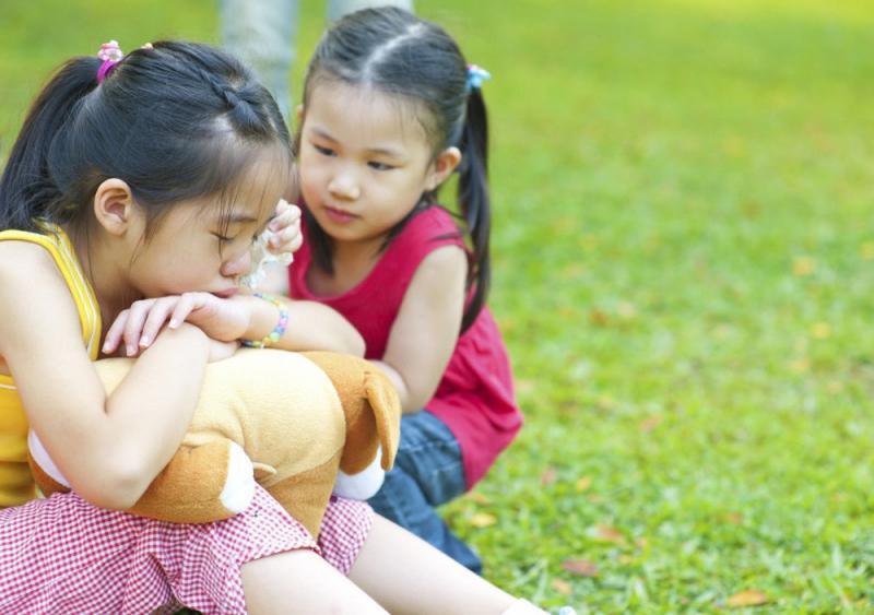 6 Áng văn nghị luận sâu sắc nhất về sức mạnh của sự cảm thông trong cuộc sống