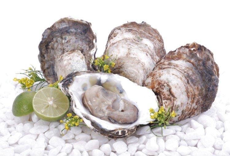 20 Món ăn giải nhiệt, thải độc và làm mát gan – dễ nấu, bổ dưỡng cho sức khỏe