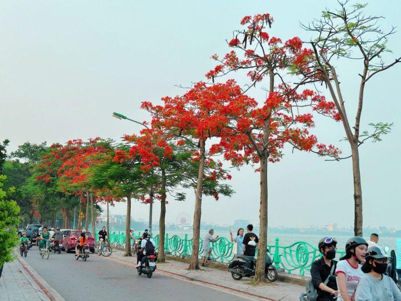 15 Áng thơ tuyệt bút về Hồ Tây