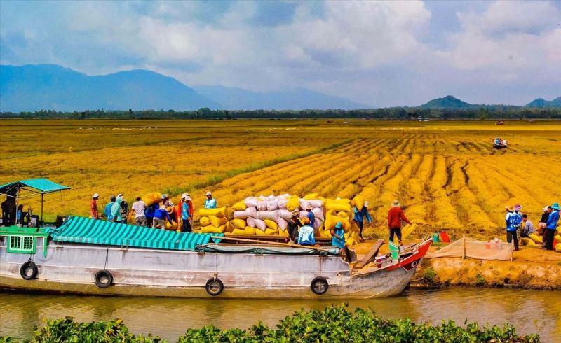 Tuyển tập 11 bài phân tích tác phẩm 'Cửu Long Giang ta ơi' (Ngữ văn 6) xuất sắc nhất