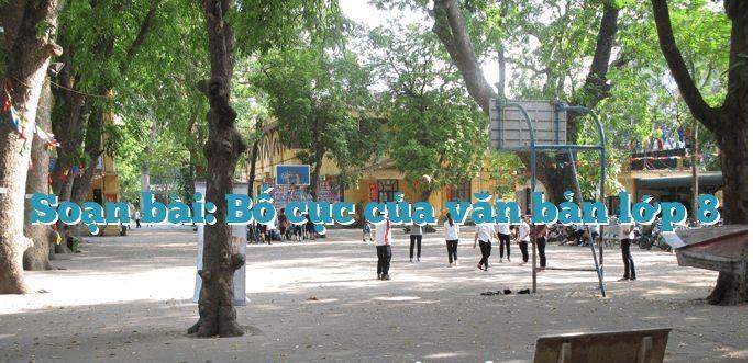6 Bài soạn mẫu "Bố cục văn bản" xuất sắc nhất