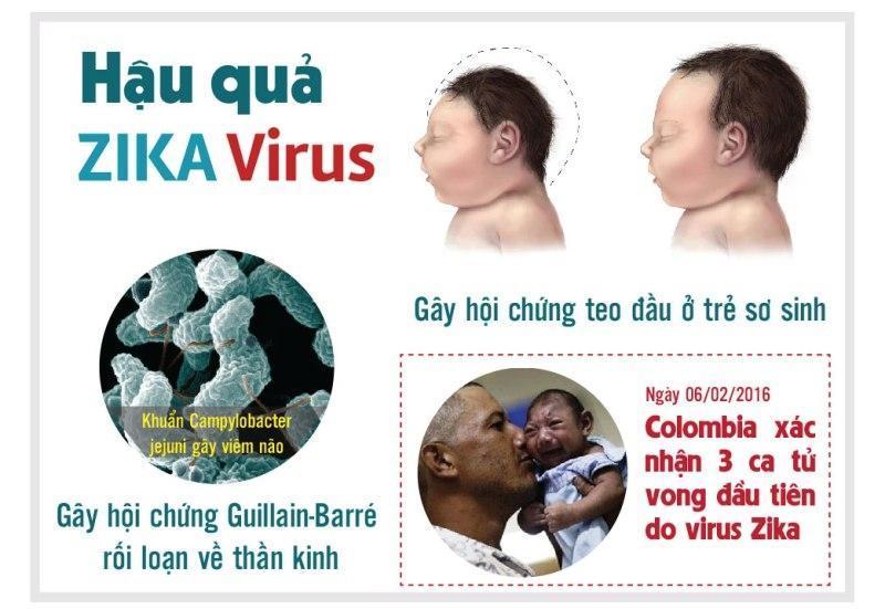 7 Điều quan trọng cần biết về virus Zika và biện pháp phòng ngừa hiệu quả