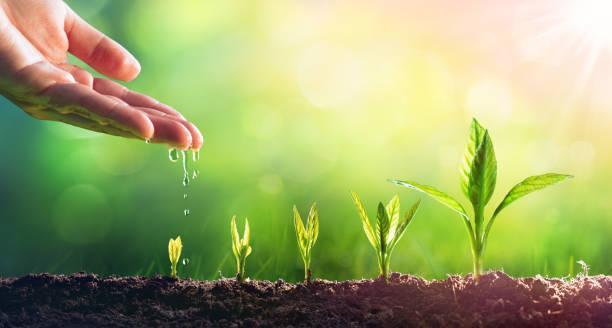 Top 10 bài viết nghị luận xuất sắc nhất về chủ đề "Nắm bắt cơ hội - Chìa khóa dẫn đến thành công"