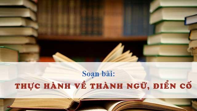 6 Bài soạn mẫu Thực hành về thành ngữ, điển cố (Ngữ Văn 11) tinh tuyển