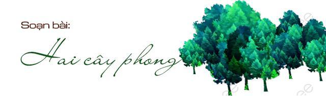 Top 5 bài soạn đặc sắc nhất về tác phẩm "Hai cây phong" của Ai-ma-tốp