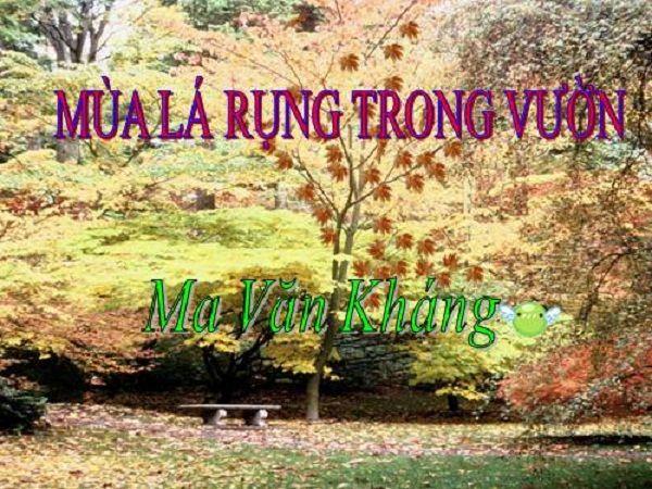 6 Bài phân tích "Mùa lá rụng trong vườn" của Ma Văn Kháng đặc sắc nhất dành cho học sinh lớp 12