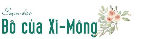 6 Bài Phân Tích "Bố Của Xi-mông" (Mô-pa-xăng) Đặc Sắc Nhất Dành Cho Học Sinh Lớp 9