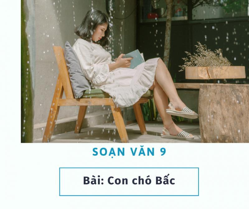 6 Bài Phân Tích "Con Chó Bấc" (Jack London) Đặc Sắc Nhất Dành Cho Học Sinh Lớp 9