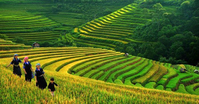 Top 6 Bài phân tích 'Việt Bắc' (Tố Hữu) - Phần II: Tác phẩm (Ngữ Văn 12) ấn tượng nhất